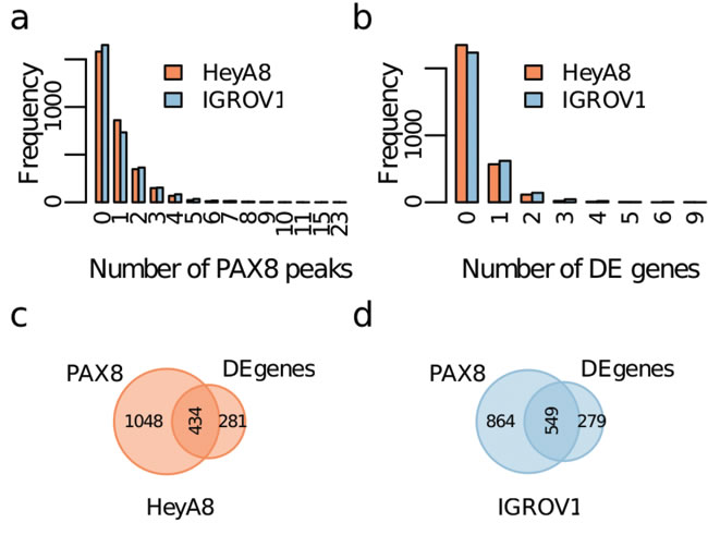 Identification of PAX8 regulatory targets using topological association domains (TADs).