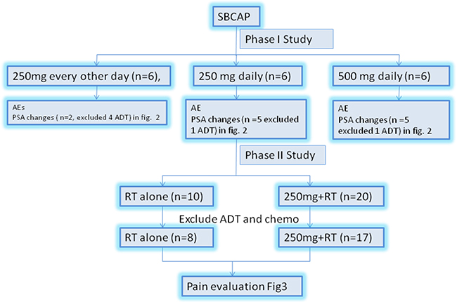 The study schema.