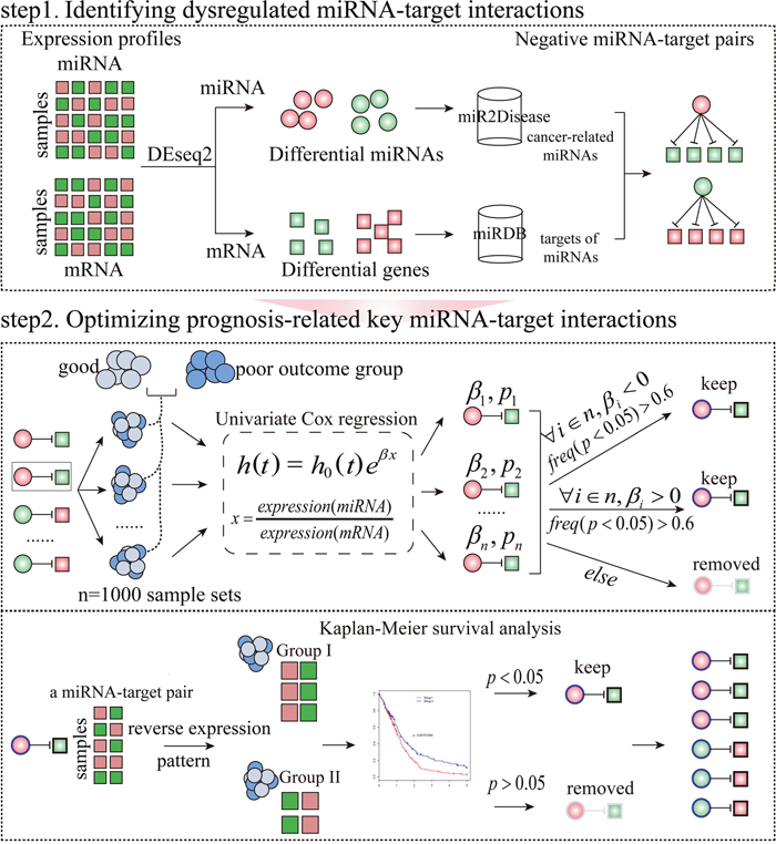 The workflow to identify prognosis-related key miRNA-target interactions in a specific condition.