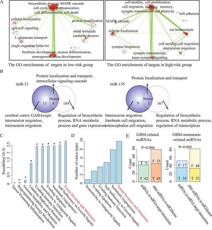 The function explorations of prognosis-related key miRNA-target interactions selected from GBM.