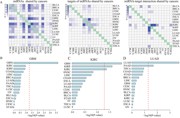 MiRNAs regulated their key targets in a cancer-specific manner.