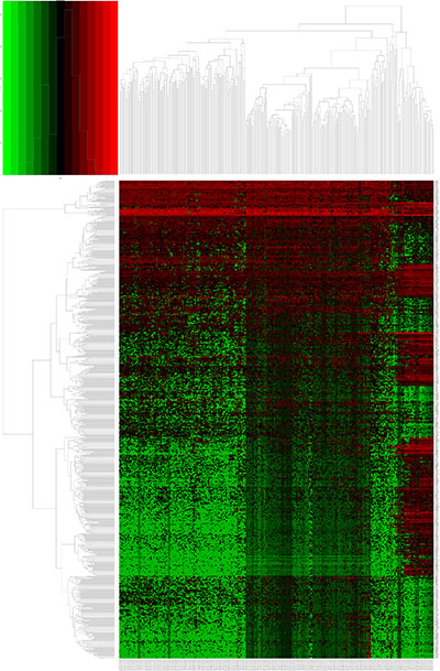 Heatmap of differentially expressed lncRNAs (DELs) in kidney renal papillary cell carcinoma (KIRP).