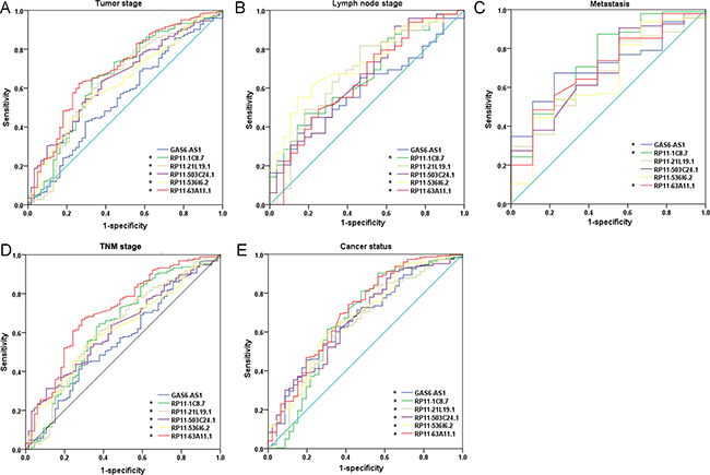 The predictive effect of lncRNAs on clinical progression of kidney renal papillary cell carcinoma (KIRP) by receiver operating characteristic (ROC).