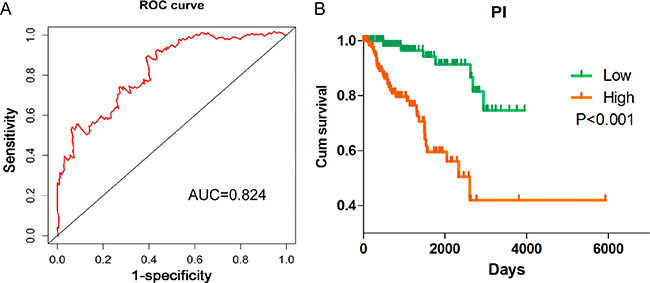 Survival ROC curve and Kaplan&#x2013;Meier curve for the seven lncRNAs signature in kidney renal papillary cell carcinoma (KIRP).