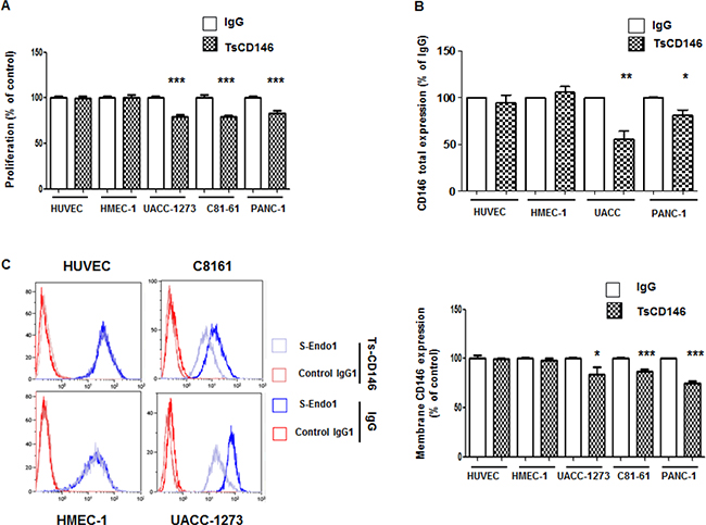 Effect of TsCD146 mAb antibody on cell proliferation and CD146 expression.