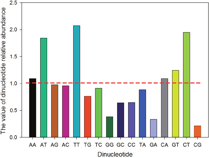 The relative abundance values of the 16 dinucleotides.