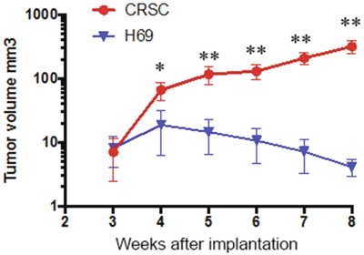 In vivo Cisplatin resistance of Cisplatin-treated SCLC cells.