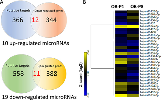Identification of differentially expressed microRNAs and genes with potential microRNA-mRNA interactions in human primary osteoblasts.