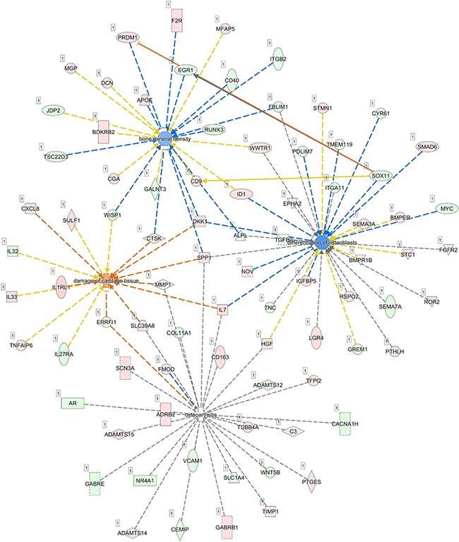 Figure 6: