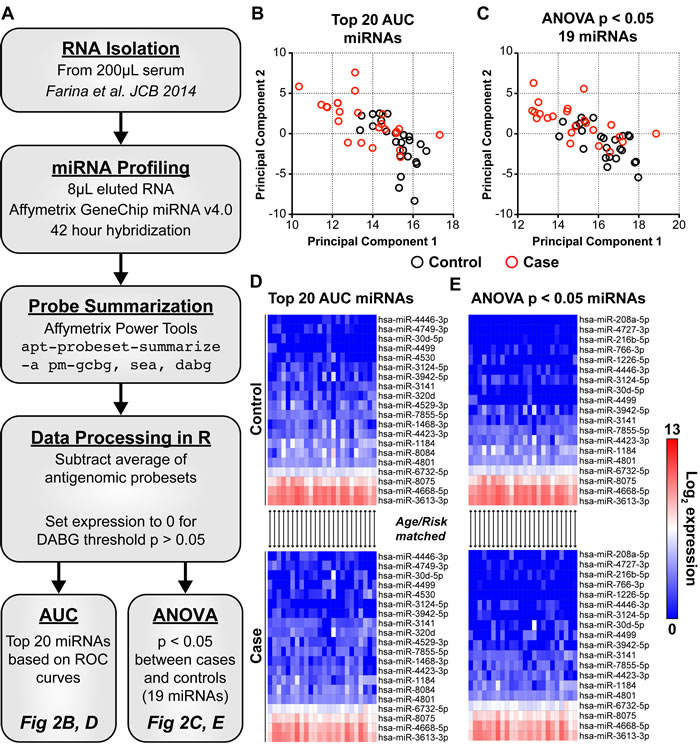 The expression of 25 candidate C-miRNAs separate women who develop cancer from those who remain cancer free.