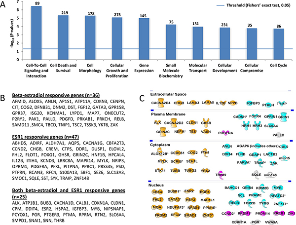 The most important molecular and cellular functions of the 1,214 aDNAm&#x2019;s, beta-estradiol or/and ESR1 responsive, and breast cancer related genes identified by IPA.