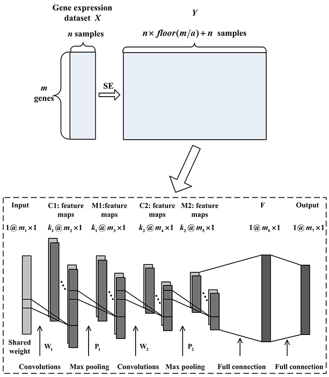 The SE1DCNN architecture consisting of sample expansion process, two convolutional layers, two max pooling layers and one fully-connected layer.