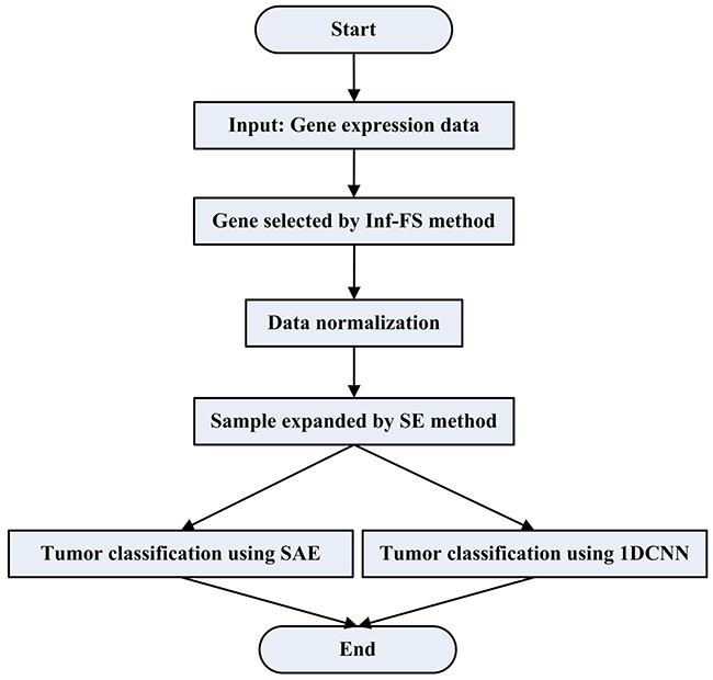 The flowchart of tumor classification by using SESAE or SE1DCNN.