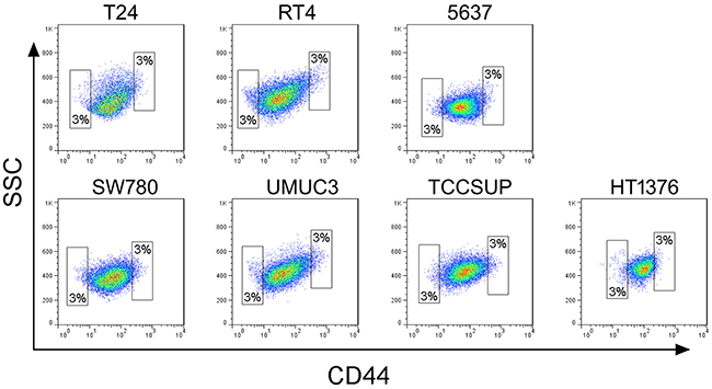 FACS of CD44-positive cells in seven bladder cancer cell lines.