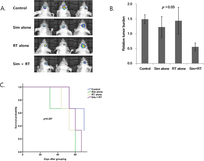 Radiosensitizing effect of simeprevir in in vivo human brain tumor xenograft model.