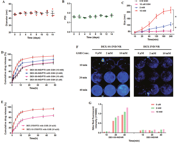 In vitro release behaviors and stability of DEX-SS-IND/PTX micelles.
