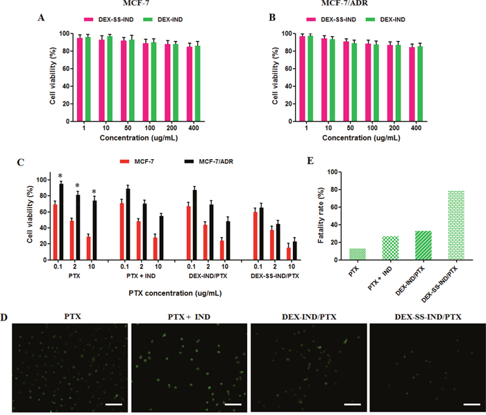 In vitro anti-tumor activity of DEX-SS-IND/PTX micelles.
