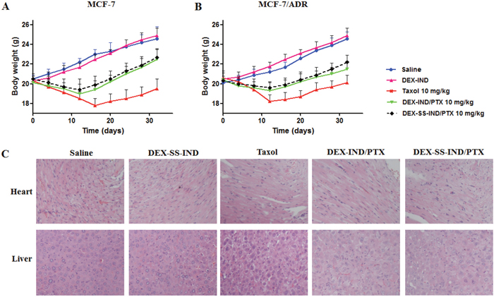 Reduced systemic toxicity of PTX by DEX-SS-IND/PTX micelles.