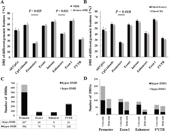 Promoters have major different functional DNA methylation signatures.