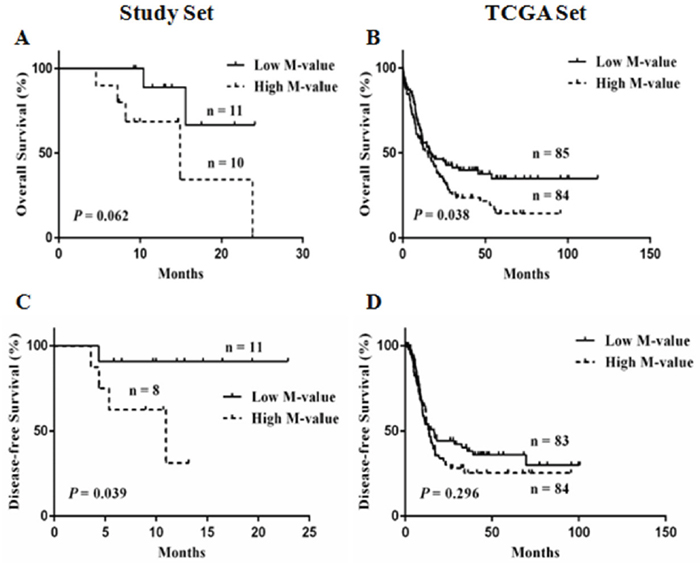 Kaplan-Meier curves for low and high M-value groups.