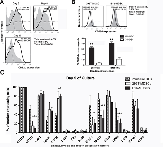 Phenotype profiling of ex vivo-differentiated MDSCs.