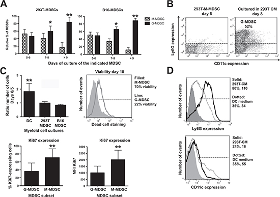 Ex vivo monocytic MDSCs are precursors of granulocytic MDSCs, which represent the terminal differentiation stage.