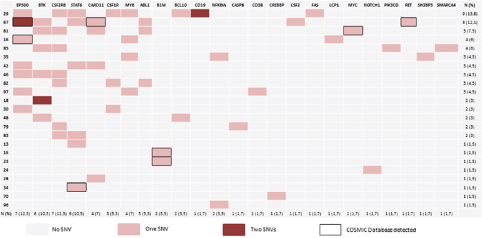 Mutational landscape.