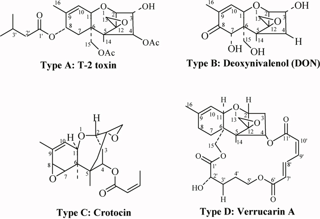 Chemical structure of trichothecenes (Types A-D).