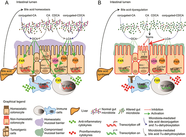 Figure 2: