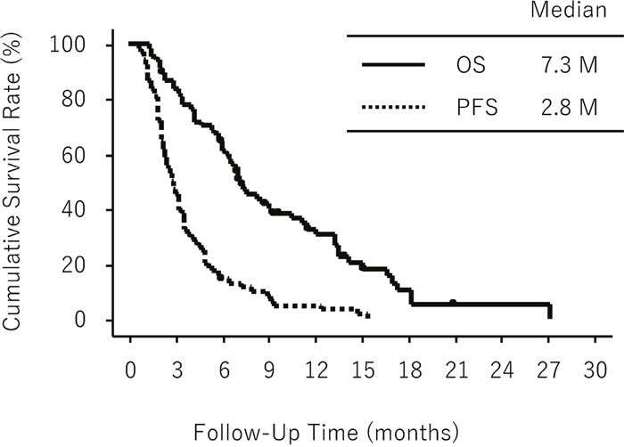 Overall survival (OS) and progression-free survival (PFS) in all eligible patients (n = 68).
