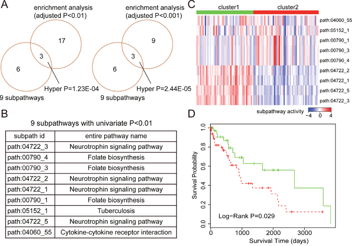 The prognostic analyses based on subpathway activities in LUSC.