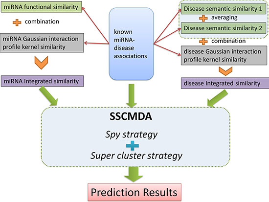 The whole process flowchart of the SSCMDA method.