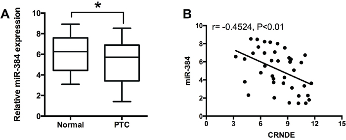 MiR-384 is down-regulated and inversely correlated with CRNDE expression in PTC tissues.