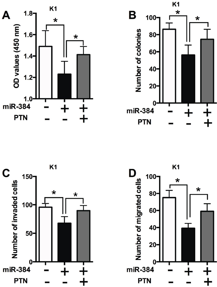 The effects of miR-384 in PTC cells is dependent on PTN.