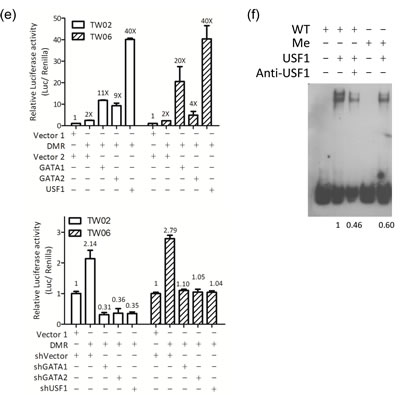 fig2e