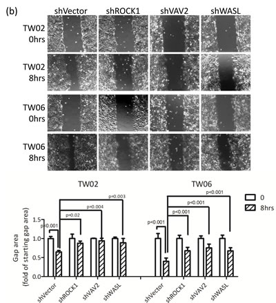 fig5b