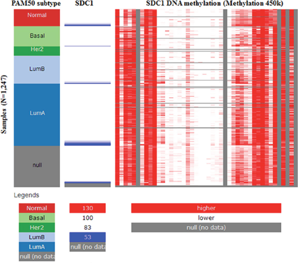 The heat map of SDC1 expression and its DNA methylation status.