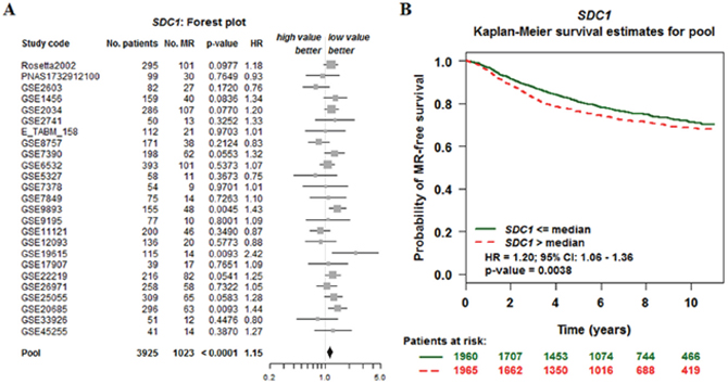 The relationship between SDC1 expression and prognosis metastatic relapse-free survival (MRFS) in breast cancer (bc-GenExMiner v4. 0).