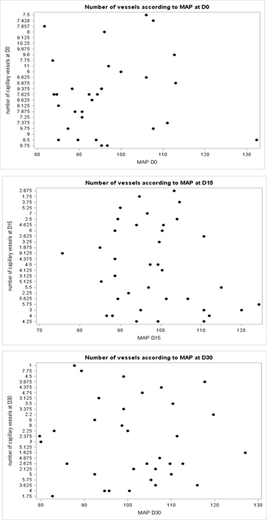 A scatter plot did not show correlation between capillary density and MAP at any time point (Day0, Day15 and Day30).