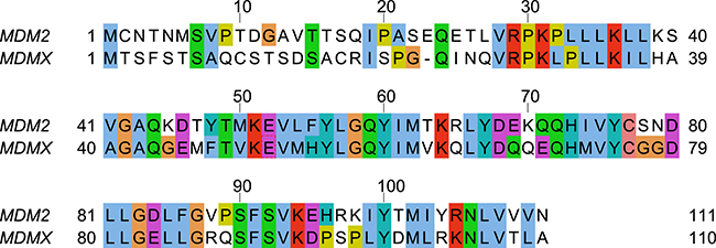 Sequence alignment of the N-terminal domains of human MDM2 and human MDMX.