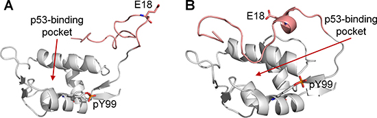 Final trajectory structures of MDMX-pY99-R18E (white).