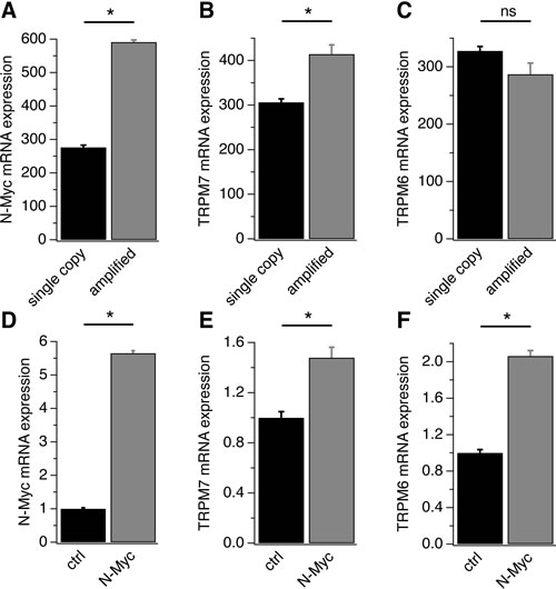 TRPM6 and TRPM7 correlation with MYCN in neuroblastoma.