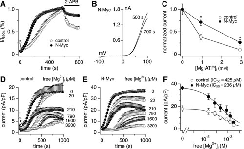 N-Myc expression shapes the phenotype of native TRPM7/TRPM6 currents.