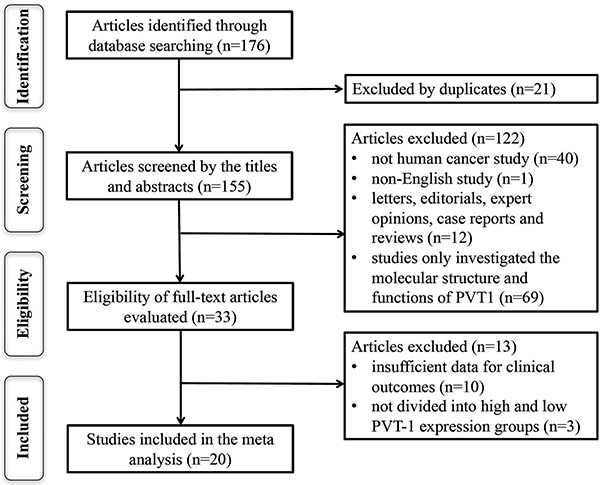 The flow diagram of this meta-analysis.