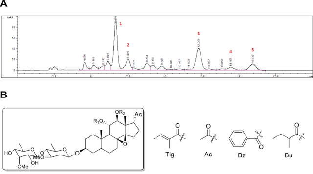 Preparation and chemical analysis of FR5.