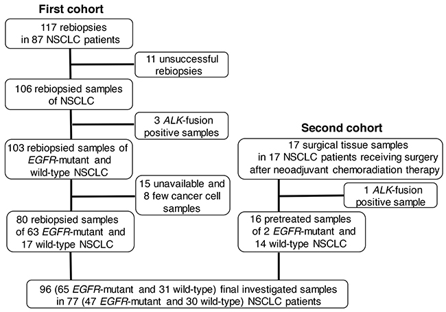 Flow chart of final investigated samples and patients.