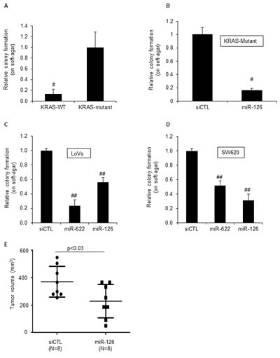MiR-126 inhibits tumorigenicity of KRAS mutant cells