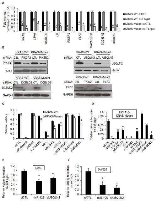 Silencing select miR-126 target genes in KRAS-Mutant cells inhibits clonogenicity.