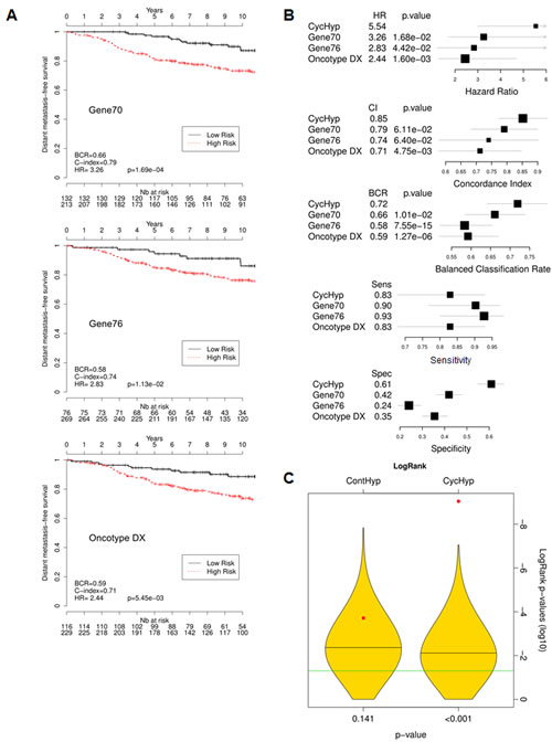 Comparison of the prognostic potential of the CycHyp signature vs.