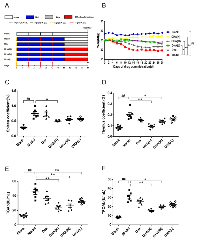 Effect of DHA on a C57BL/6J EAT mouse model.